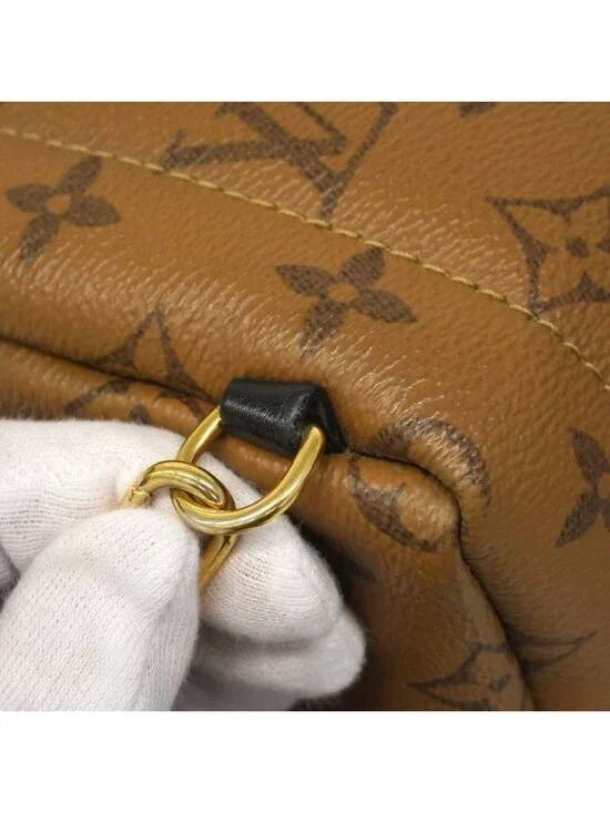 Louis Vuitton Backpack Monogram Reverse Palm Spring Mini Brown - Picture 10 of 10